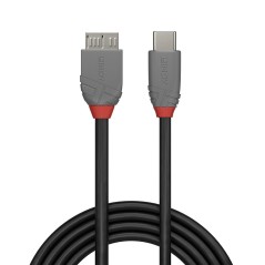 Lindy 2m USB 3.2 Type C to Micro-B